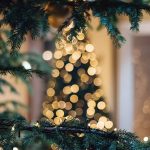 L'albero di Natale sarà protagonista delle tue feste? Ecco 5 alternative che si adattano perfettamente anche agli ambienti più piccoli!